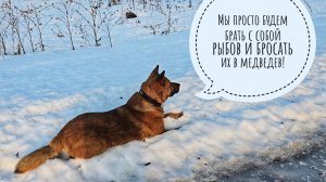 (Подкаст) трындёж о медведях-соседях под прогулку с Псом Кубиком. В лес теперь не ходить?