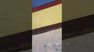 мы гуляем когда тепло