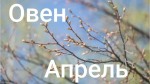 Таро расклад для Овнов на апрель 2026 года