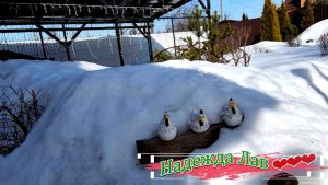 Весеннее пробуждение: Стеллаж для рассады и первая посадка бегонии