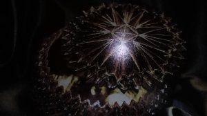 Небес  касался...