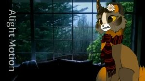 реакция на видео от одной сьюшкиии.