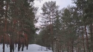 Наша самооценка