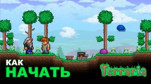 Как Начать Выживание в Terraria?