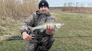 Огромная рыба.Снасть на грани.Джиг-риг с arion 843ls