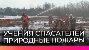 Новгородские спасатели отработали действия при ликвидации природных пожаров