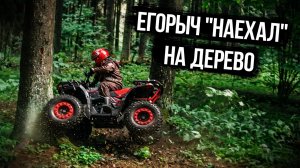 Егорыч наехал на дерево