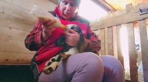 Психую, не могу!! Лишь бы не кормить..