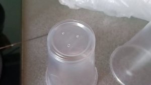 Подготовка стаканчиков для рассады