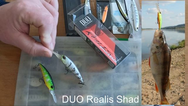 К сезону взял проверенные приманки и новые оригиналы - DUO Yurameki, Onimasu, OSP Louder и др.