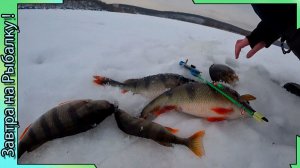 Рыбалка по окуню - на Воронежском водохранилище -  2026