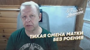 Тихая смена матки — чем она отличается от роения и почему это хорошо для пчеловода