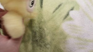 Йокими распаковка!!!