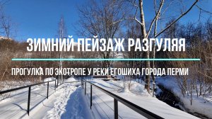 Зимний пейзаж Разгуляя и прогулка по экотропе вдоль реки Егошиха города Перми