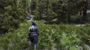 Skyrim – демонстрация сборки из более чем 3500 модов