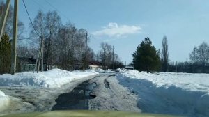 Новополянье! Отпуск продолжается! Первые яйца есть!!!