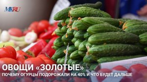 Почему огурцы и помидоры резко подорожали: главные причины скачка цен