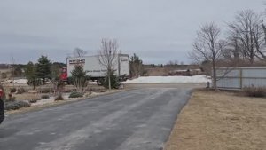 Сельчанка в Америке / НЕОЖИДАННЫЙ СЮРПРИЗ