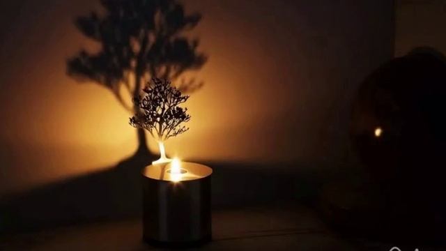 आत्मा के तार और गिटार के तार). (Струны души).