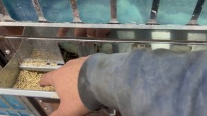 Какая должна быть толщина матрицы!? Нам нужен твердый комбикорм а не фарш или еще хуже просто пыль!!