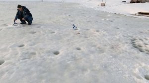 VID_20260312_091753_961