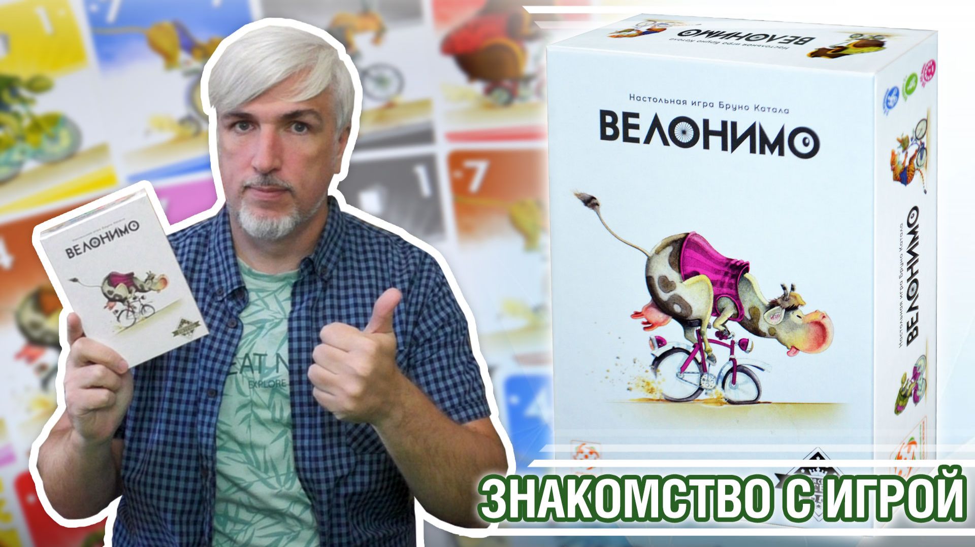 Знакомство с настольной игрой «ВЕЛОНИМО»