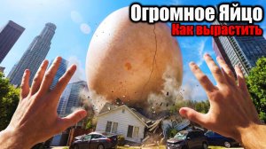 Гигантское Яйцо 🥚. Юмор. Прикол