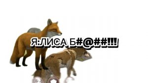 Рил:когда в ваилде увидел лису