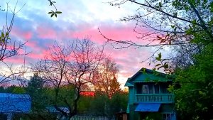 Сады на Холодном болоте