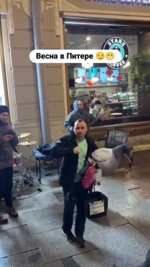 Видео от Департамент Вирусного Контента | ДВК