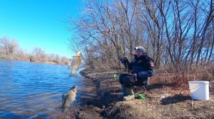 ЧЕРВЯК ОКОЛЕЛ, КАРАСЬ ЗАДУБЕЛ. СИЖУ НА ДОНКИ ОДИН НА ВОДОЁМЕ. Весенняя рыбалка на донку и поплавок.
