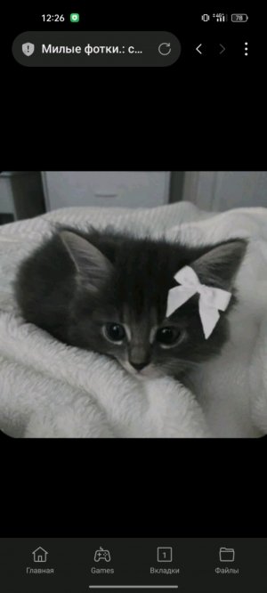 спасибо вам за все то что вы для меня сделали и все то что я сделала для вас вы были лучшими подписч