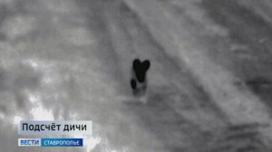 На Ставрополье начали считать диких животных