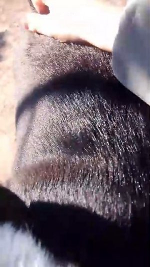 мы стали с Поной друзьями