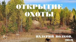 В.Волков Открытие охоты (2019)