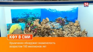 Крымчанин обнаружил окаменелость возрастом 160 миллионов лет