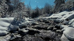 последний весений снег....в Алматы