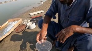 Урожай фиников.