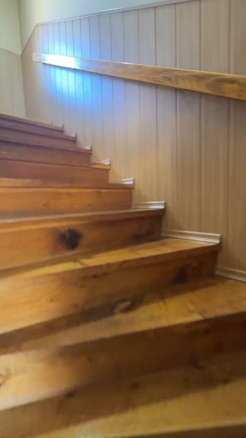 Copy_6F70981A-7BE7-49AB-9848-B48735F60B9A