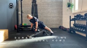 Тяга гантелей лежа на наклонной скамье / Dumbbell Incline Bench Seal Rows
