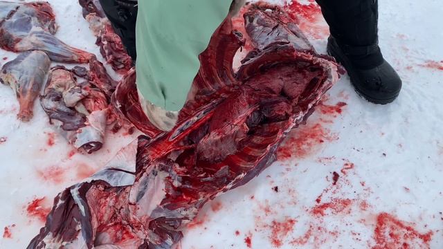 Как быстро разделать оленя