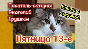 ПЯТНИЦА 13-е . КОШКИ С ОЗВУЧКОЙ. ЮМОР