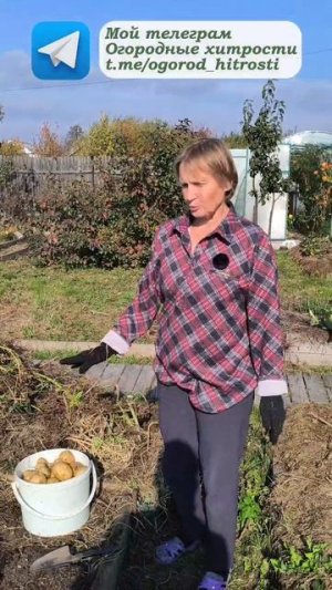 Вся ботва идет в дело.