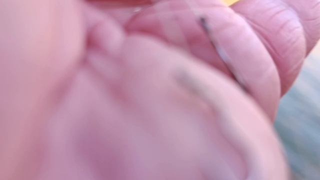 Сегодняшняя рыбалка