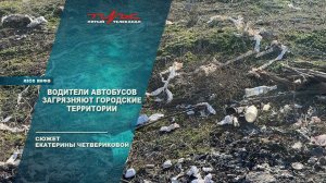 Водители автобусов загрязняют городские территории