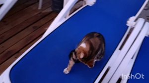 Ринг бич, пляж отеля.