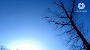 Доброе утро, Волгоград!