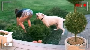 Когда наскучила лесная жизнь😅🤣