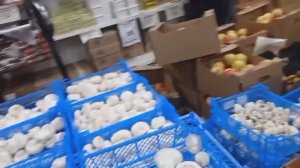 СВЕТОФОР РАСКУПАЮТ Ещё бы! Дешевле возможно не будет 😱