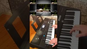 Про белые розы на синтезаторе Ямаха Е473